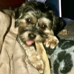 Meet your Posher, Stacey